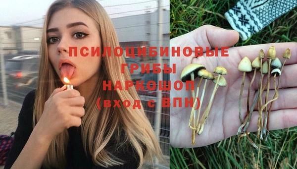 метадон Богородицк