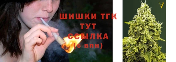 гидра Аркадак