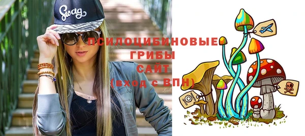 гидропоника Арсеньев