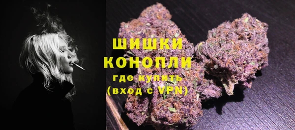 гидра Аркадак